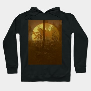 Bench Hoodie